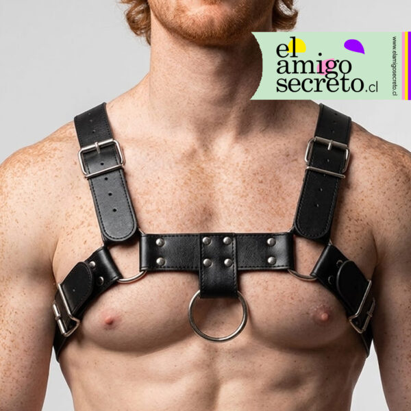 Bulldog Arnés de Pecho: El Clásico del Control (Negro)